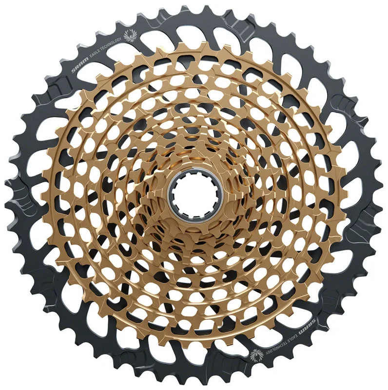 ridebicycles2244561