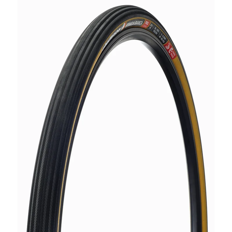 ridebicycles2247524