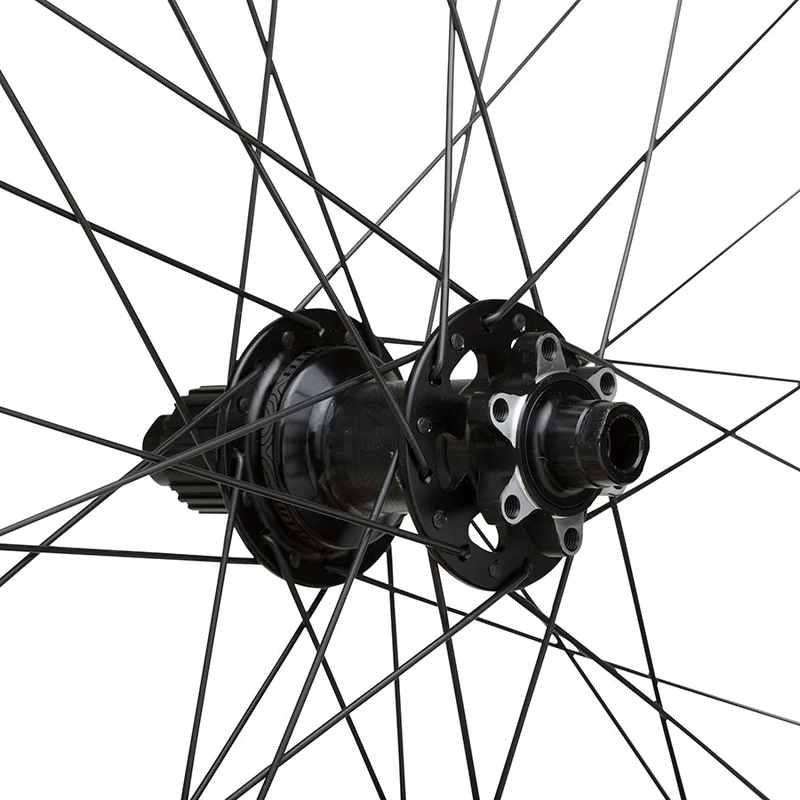 seattleelectricbike1229286