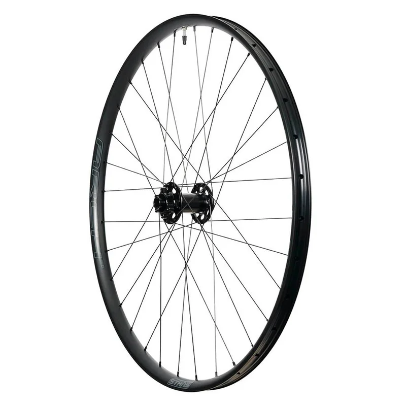 seattleelectricbike1256107