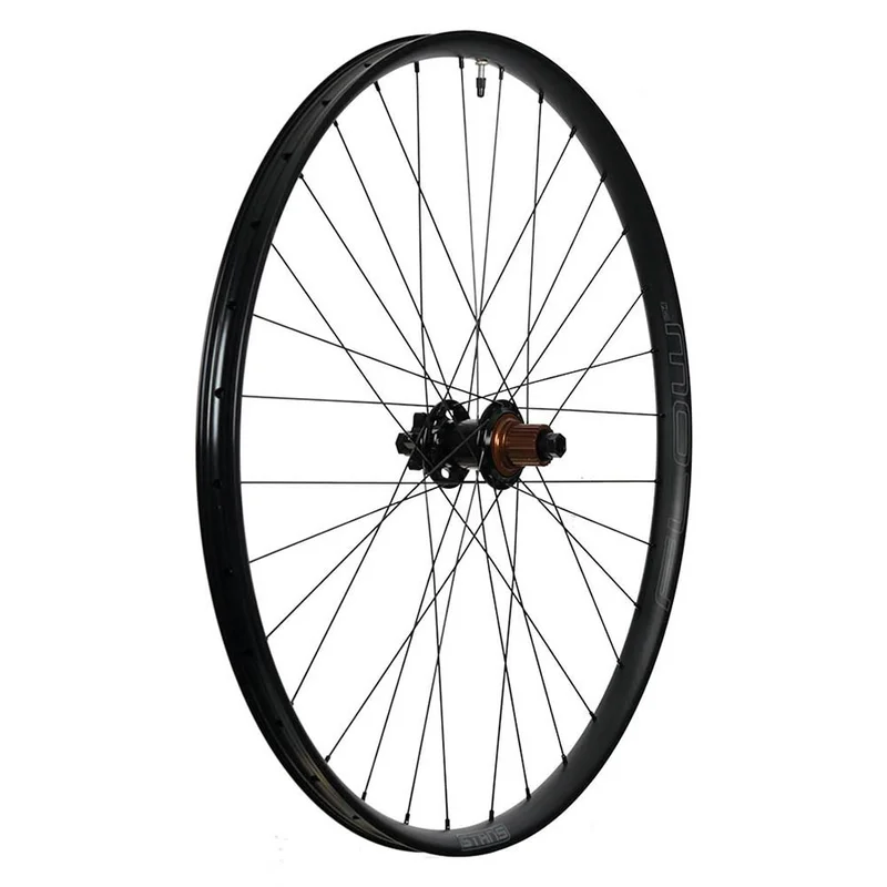 seattleelectricbike1256143