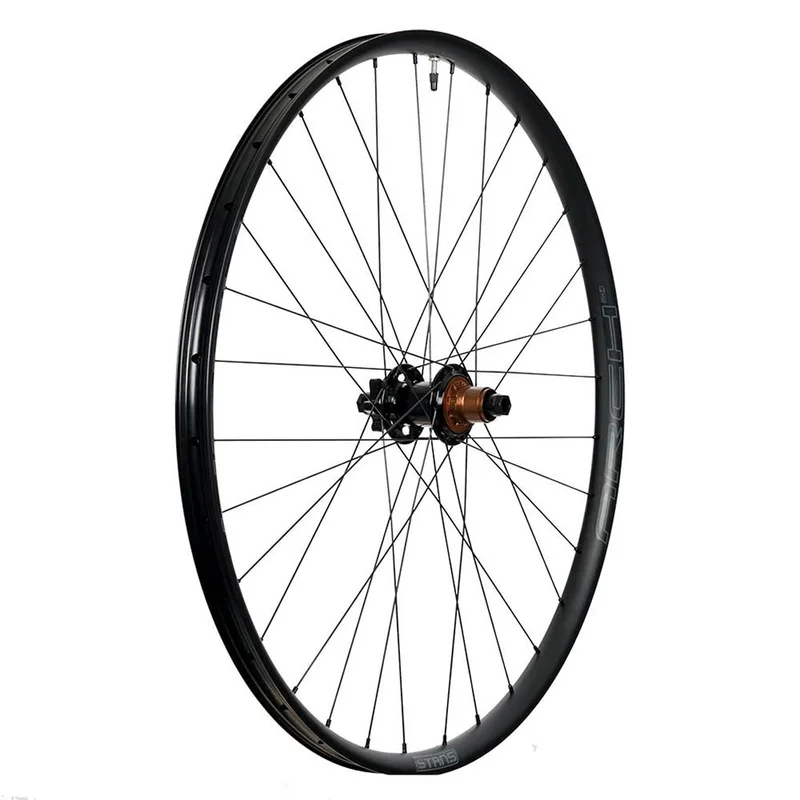 seattleelectricbike1368290
