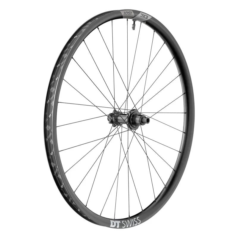 seattleelectricbike3243488