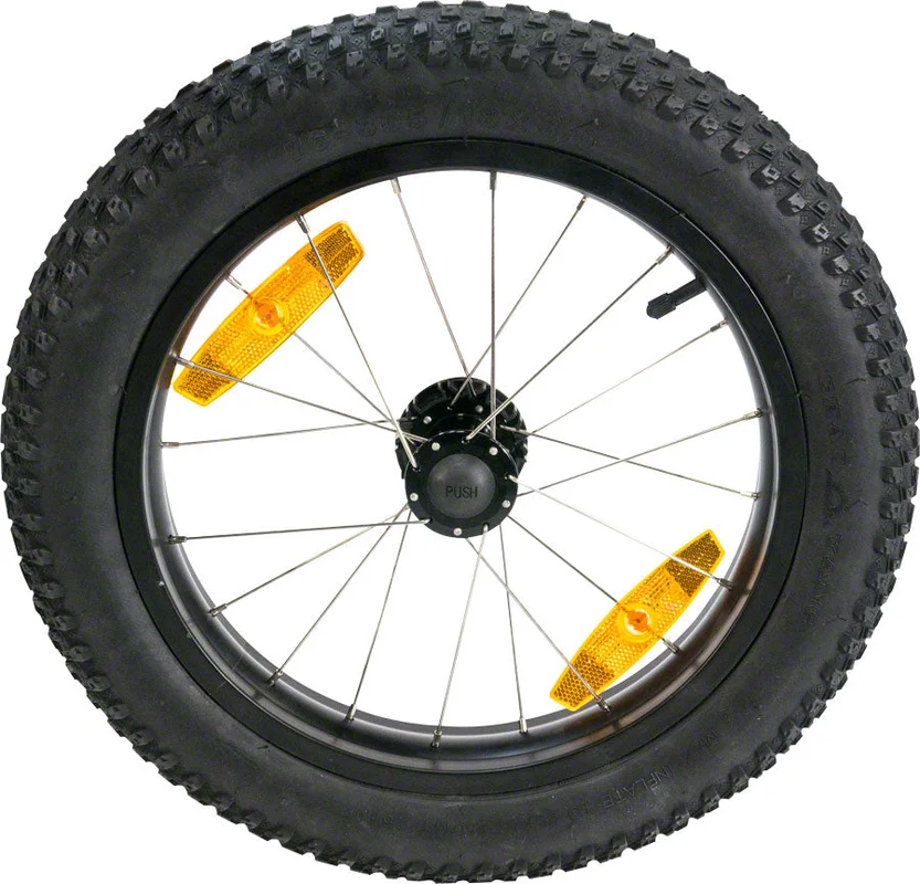 seattleelectricbike3243752