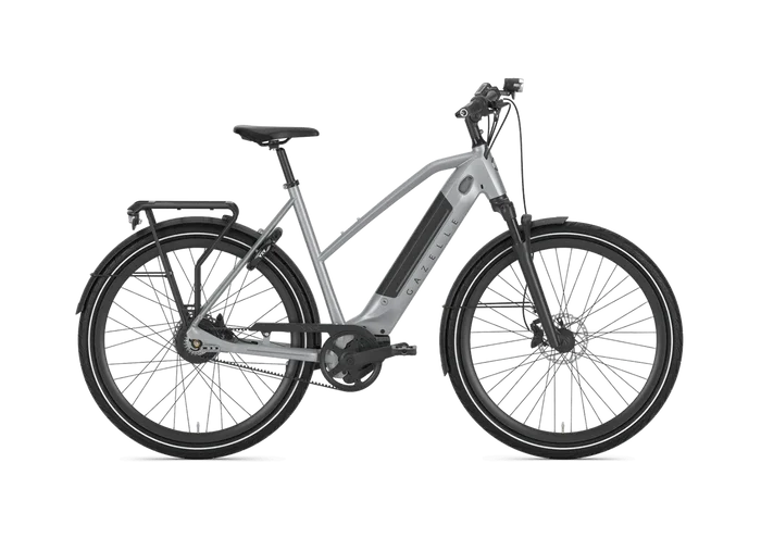 seattleelectricbike3244603