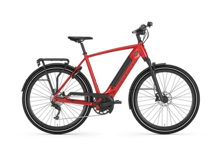 seattleelectricbike3244710