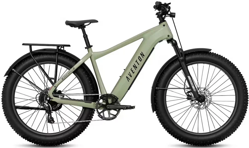 seattleelectricbike3255346