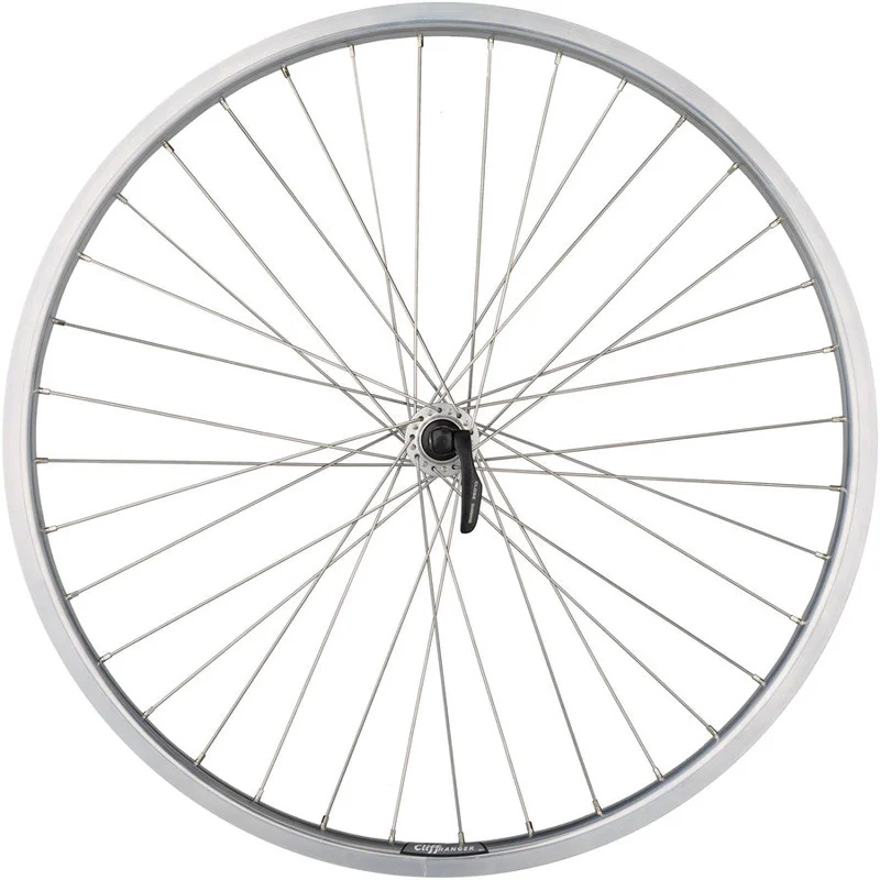 seattleelectricbike4258350