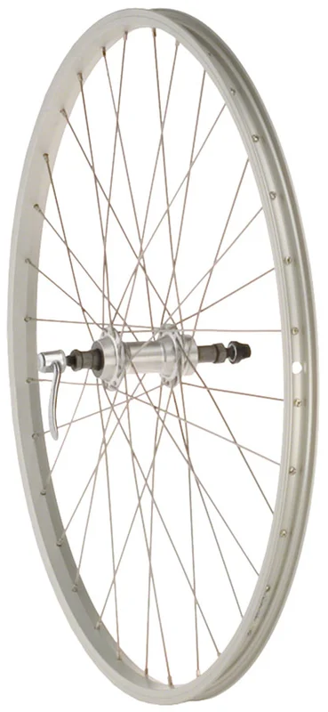 seattleelectricbike4262432