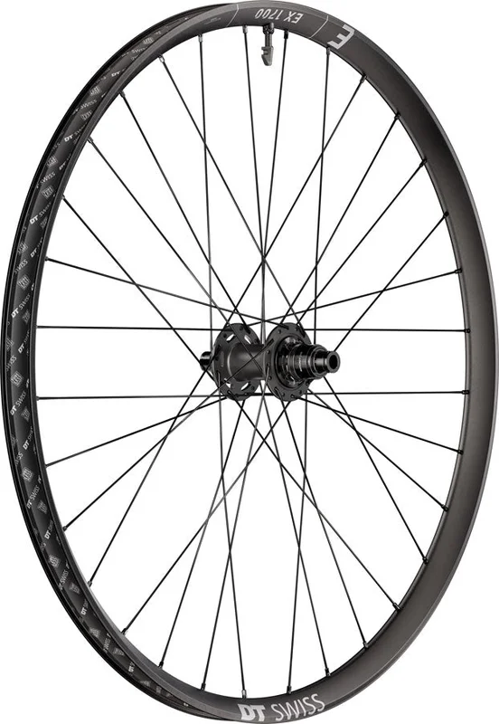 seattleelectricbike4285843