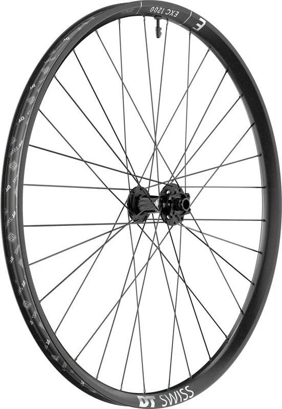 seattleelectricbike4285848