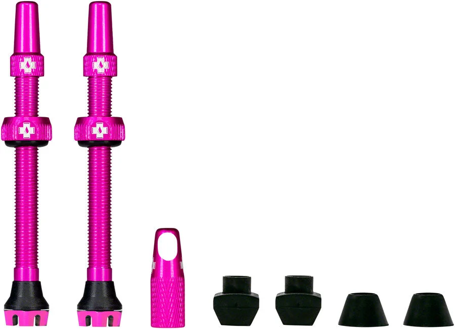 spokex1275324