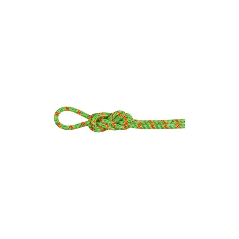 spokex2372229