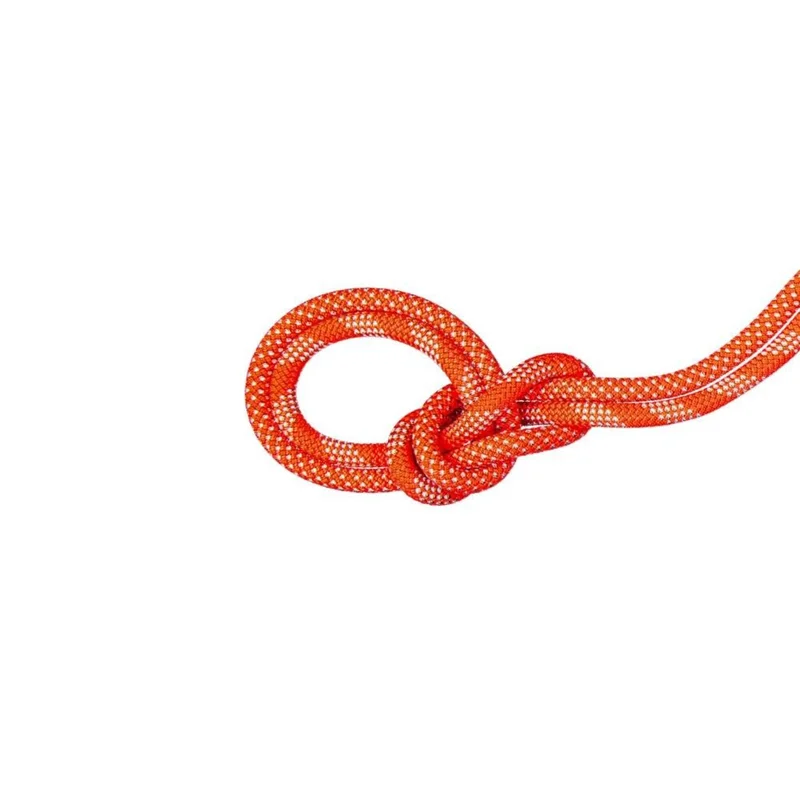 spokex2372259