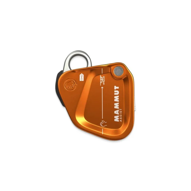 spokex2372336