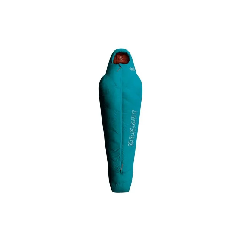 spokex2377647