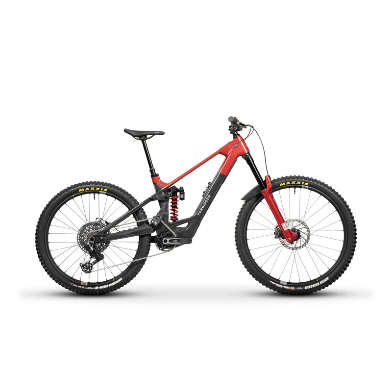 spokex2377697