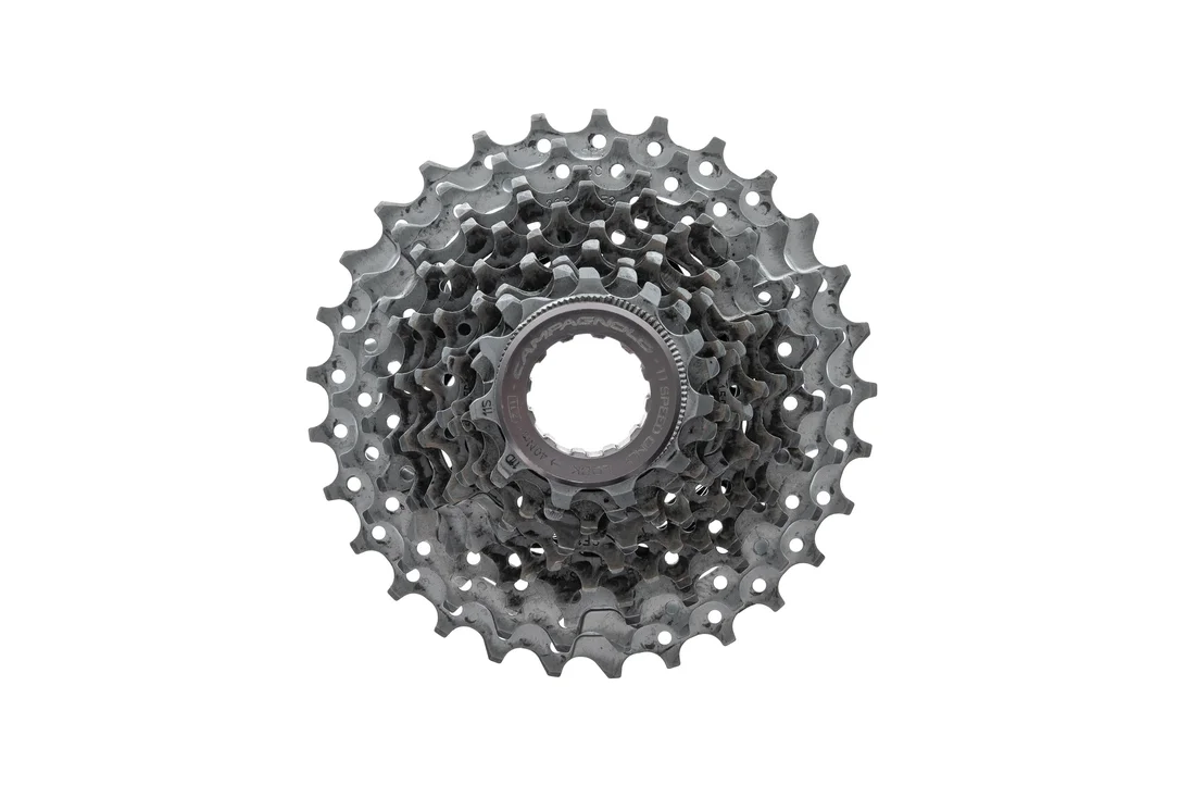 theproscloset3312796