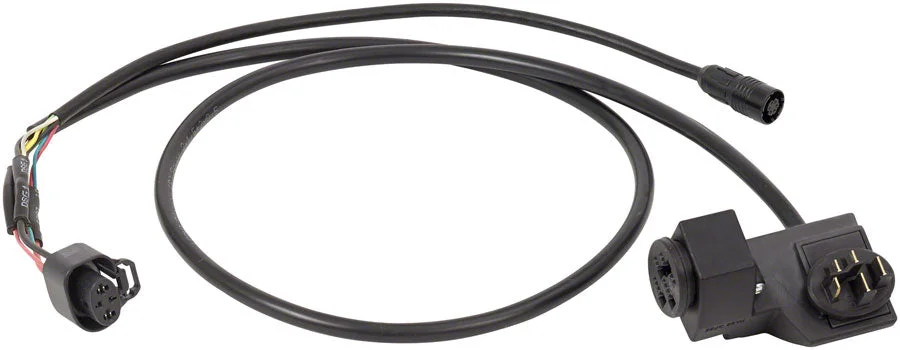 trekbikesflorida2185724