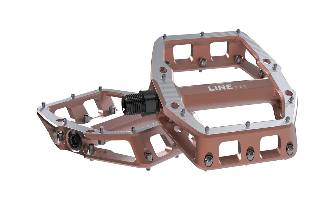 trekbikesflorida2189741