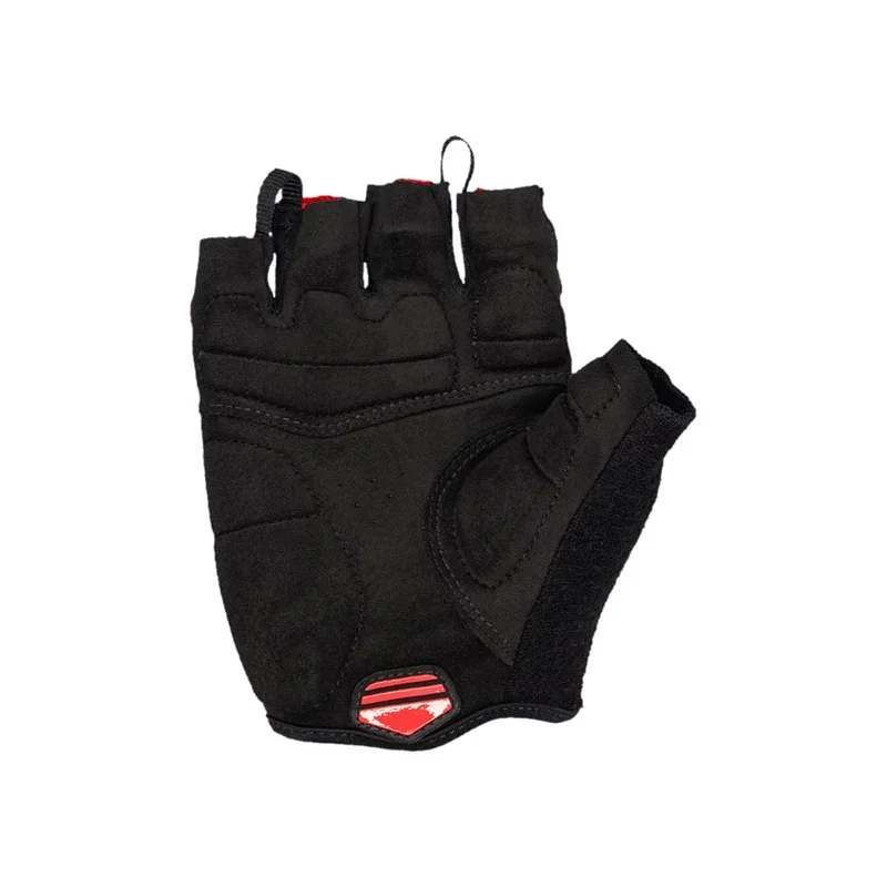 trekbikesflorida3198027