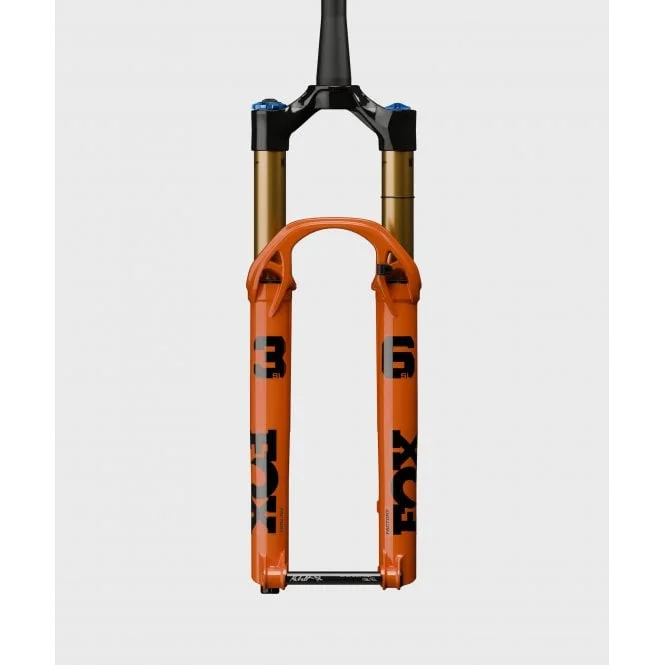 tritoncycles-399105
