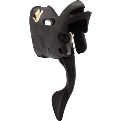 tritoncycles-415722